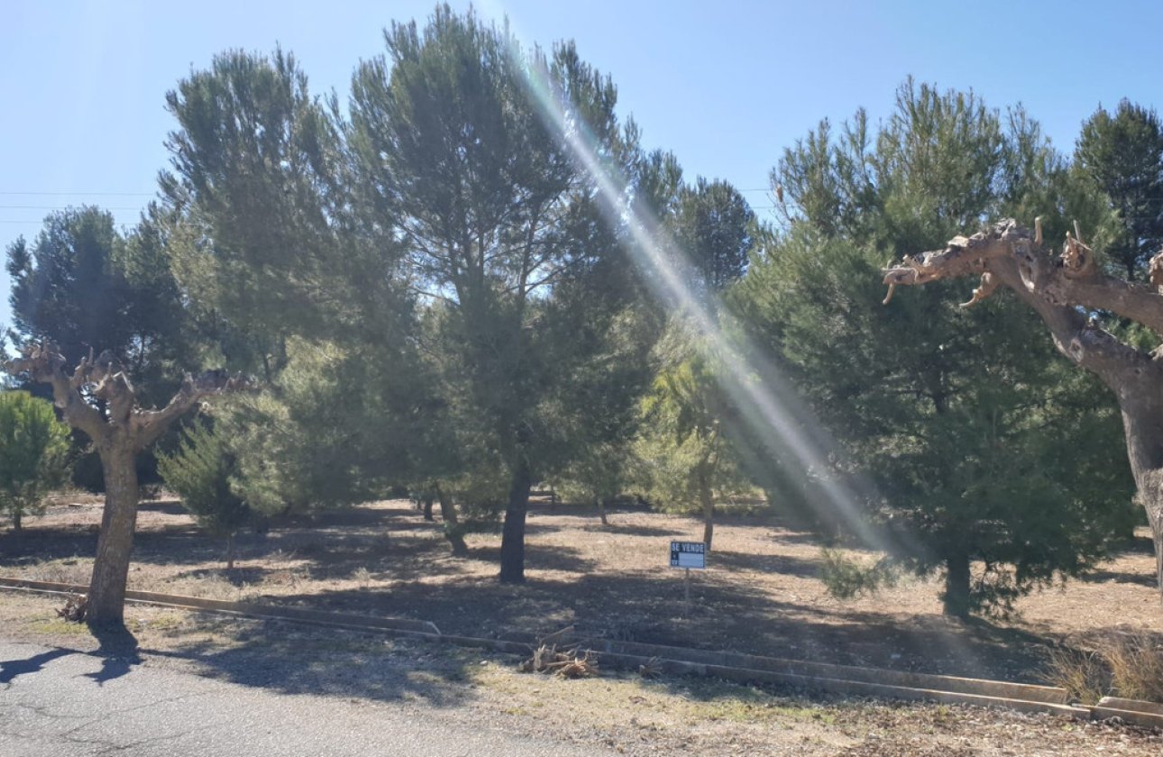 Használt ingatlanok - land -
Beneixama - Benejama - Beneixama - Benejama Centro