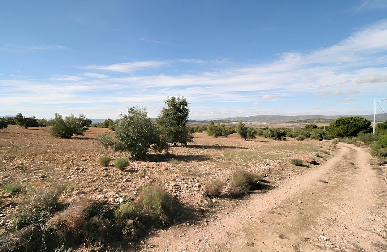 Használt ingatlanok - land -
Biar - Biar Centro