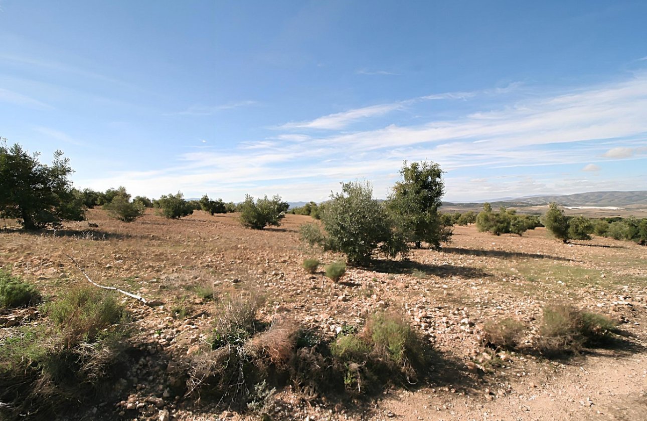 Használt ingatlanok - land -
Biar - Biar Centro