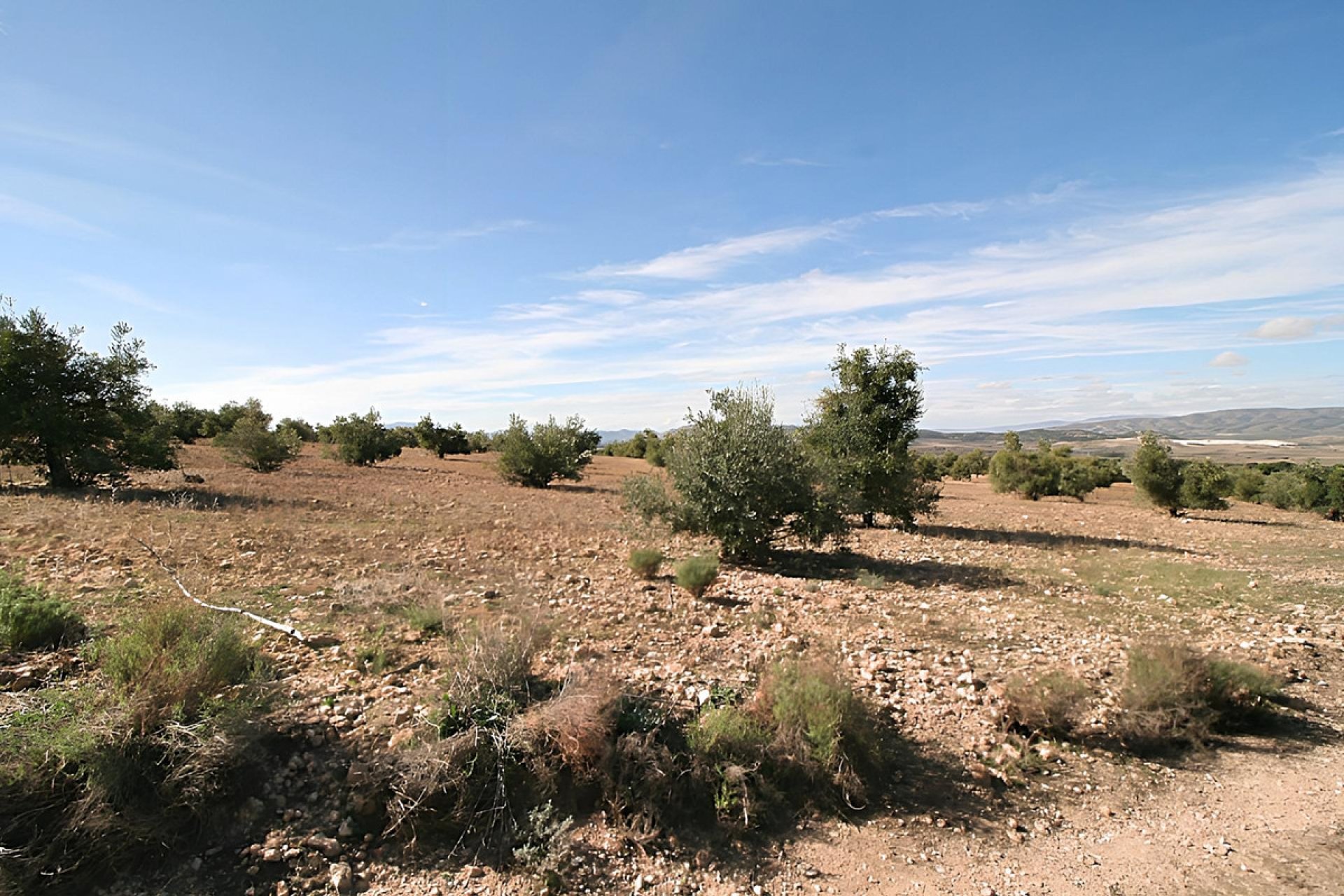 Használt ingatlanok - land -
Biar - Biar Centro