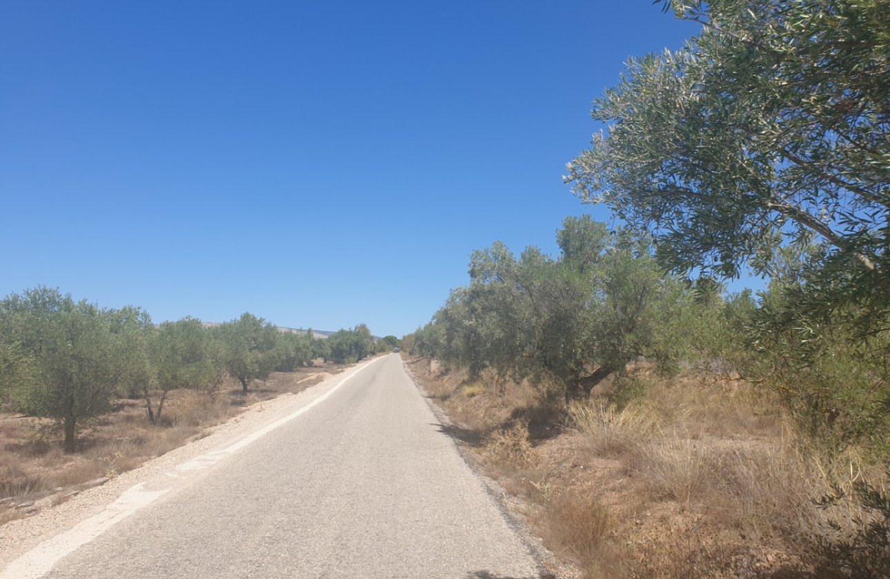 Használt ingatlanok - land -
Biar - Biar Centro