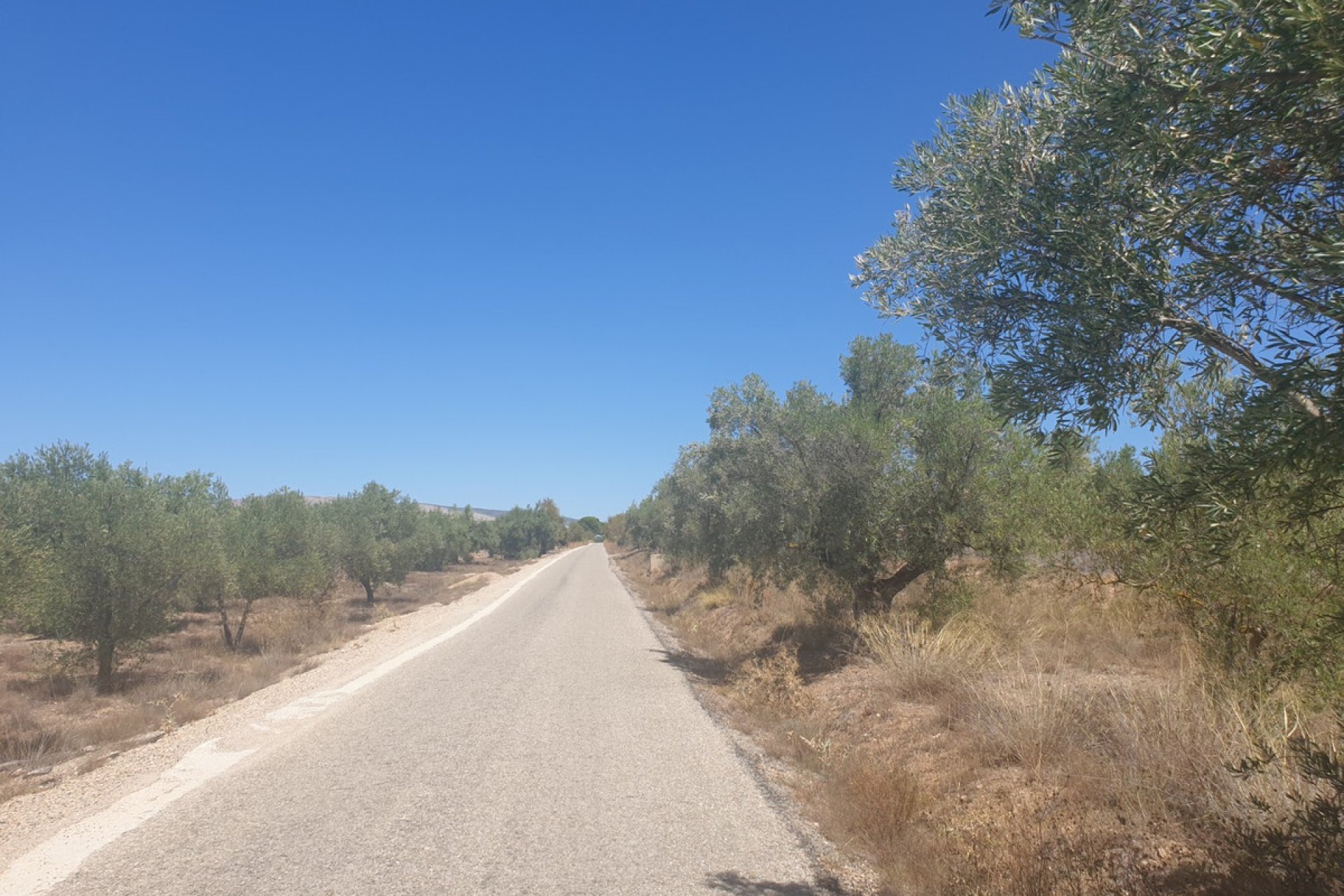 Használt ingatlanok - land -
Biar - Biar Centro