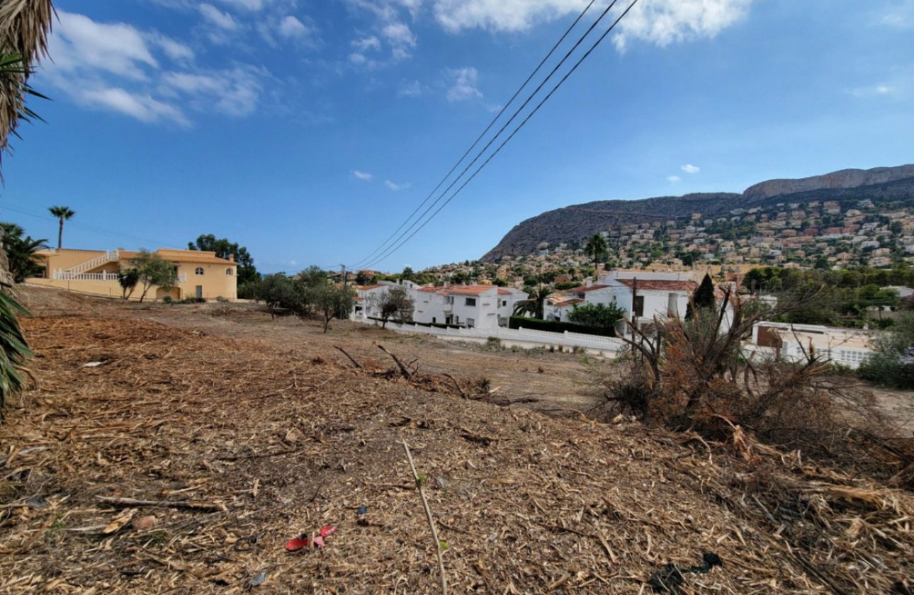 Használt ingatlanok - land -
Calpe - Calpe Centro