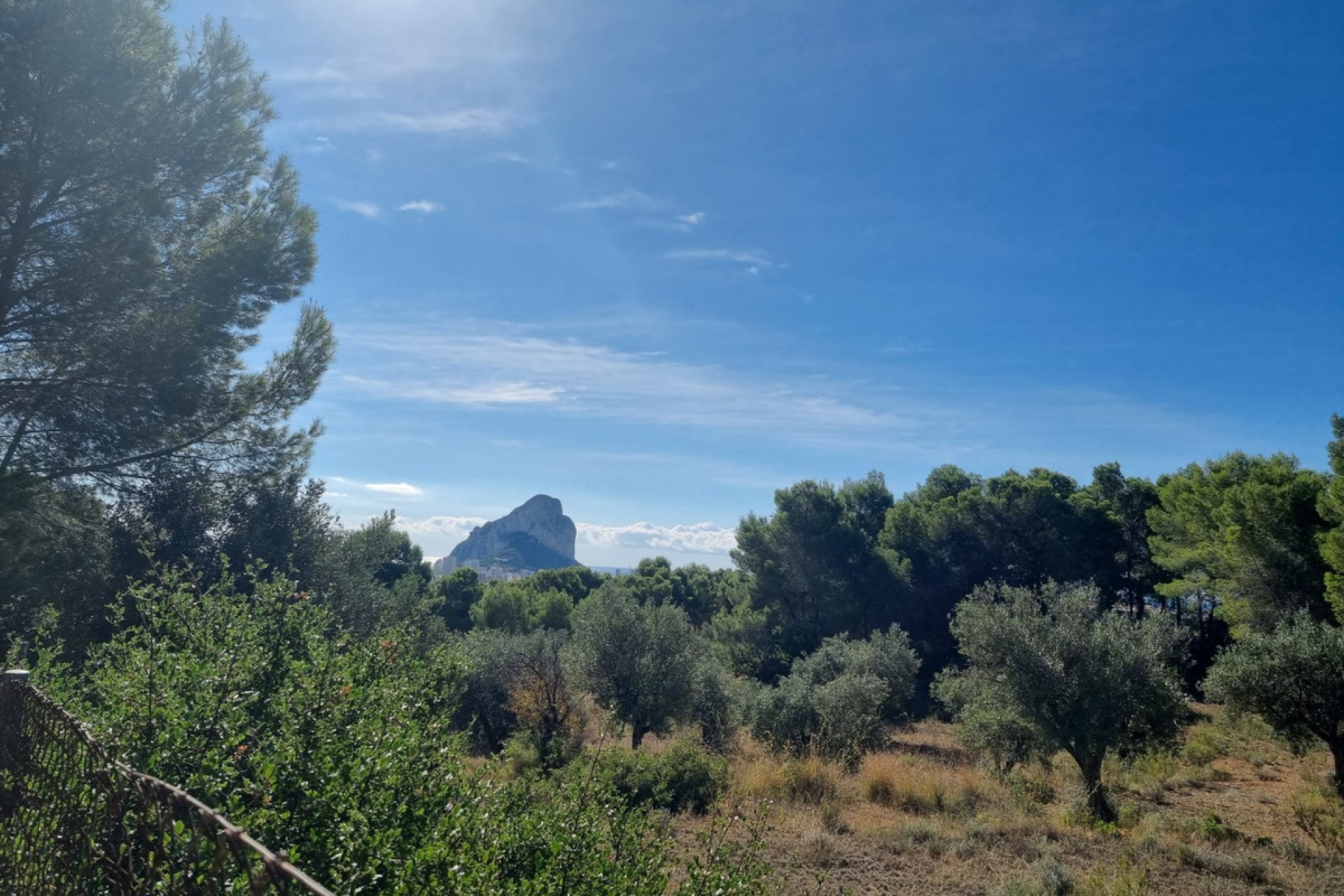 Használt ingatlanok - land -
Calpe - Calpe Centro