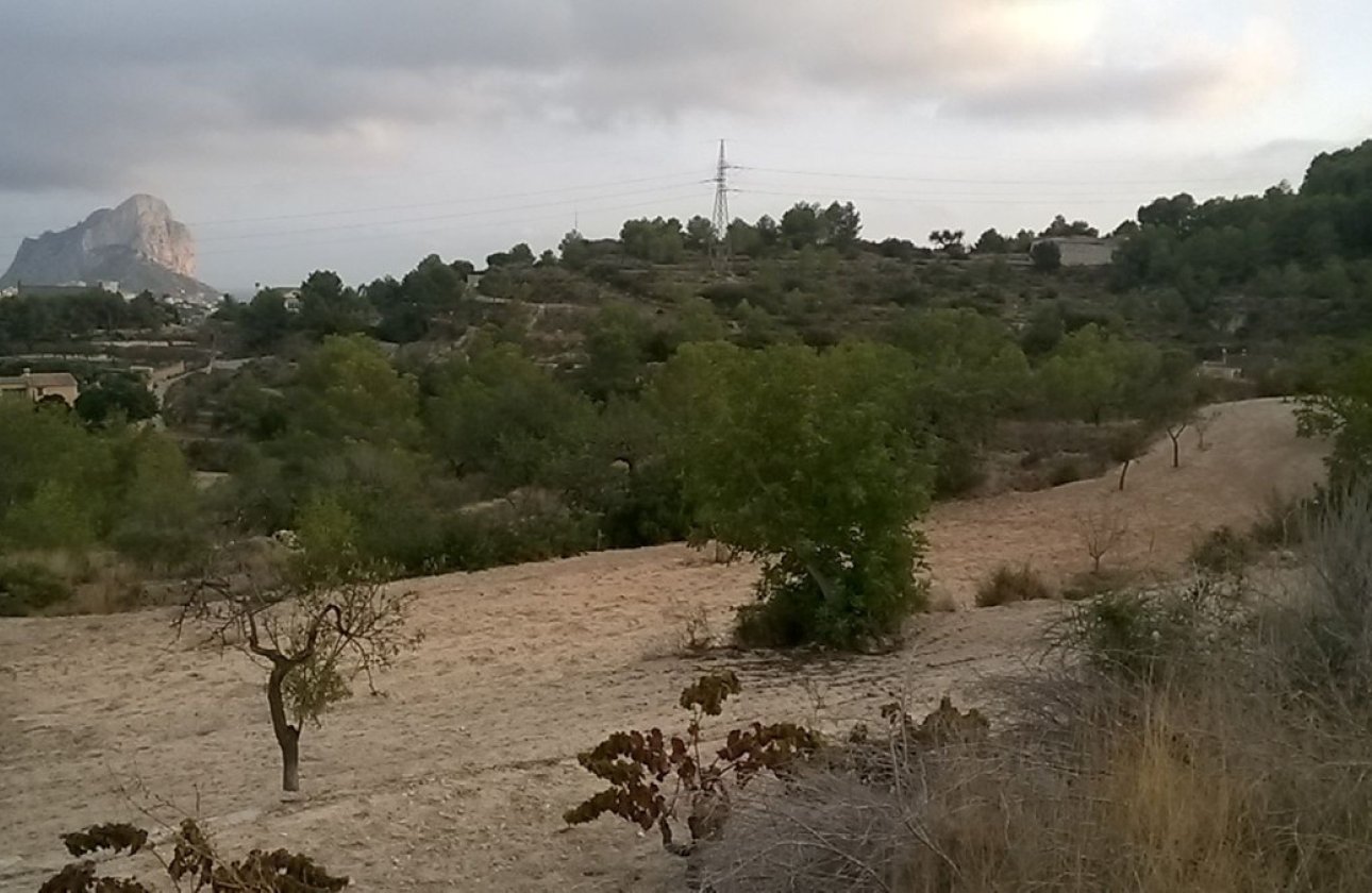 Használt ingatlanok - land -
Calpe - Calpe Centro