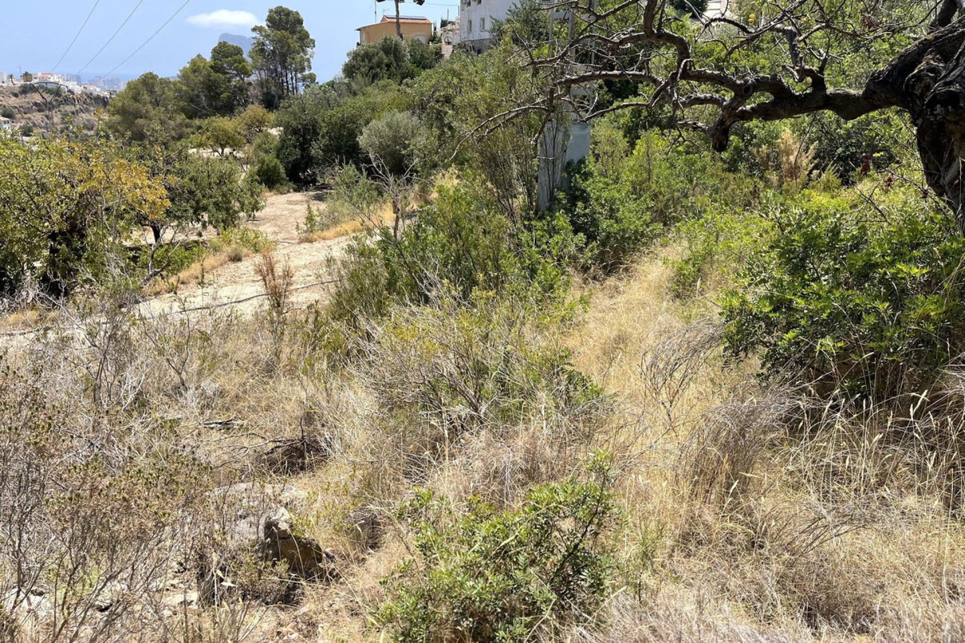 Használt ingatlanok - land -
Calpe - Calpe Centro