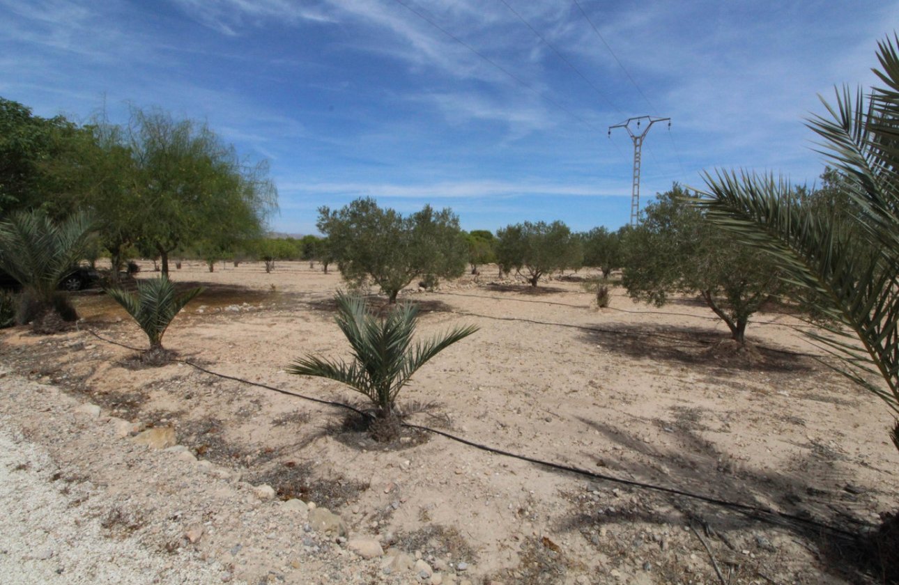 Használt ingatlanok - land -
Elche - Elche Centro