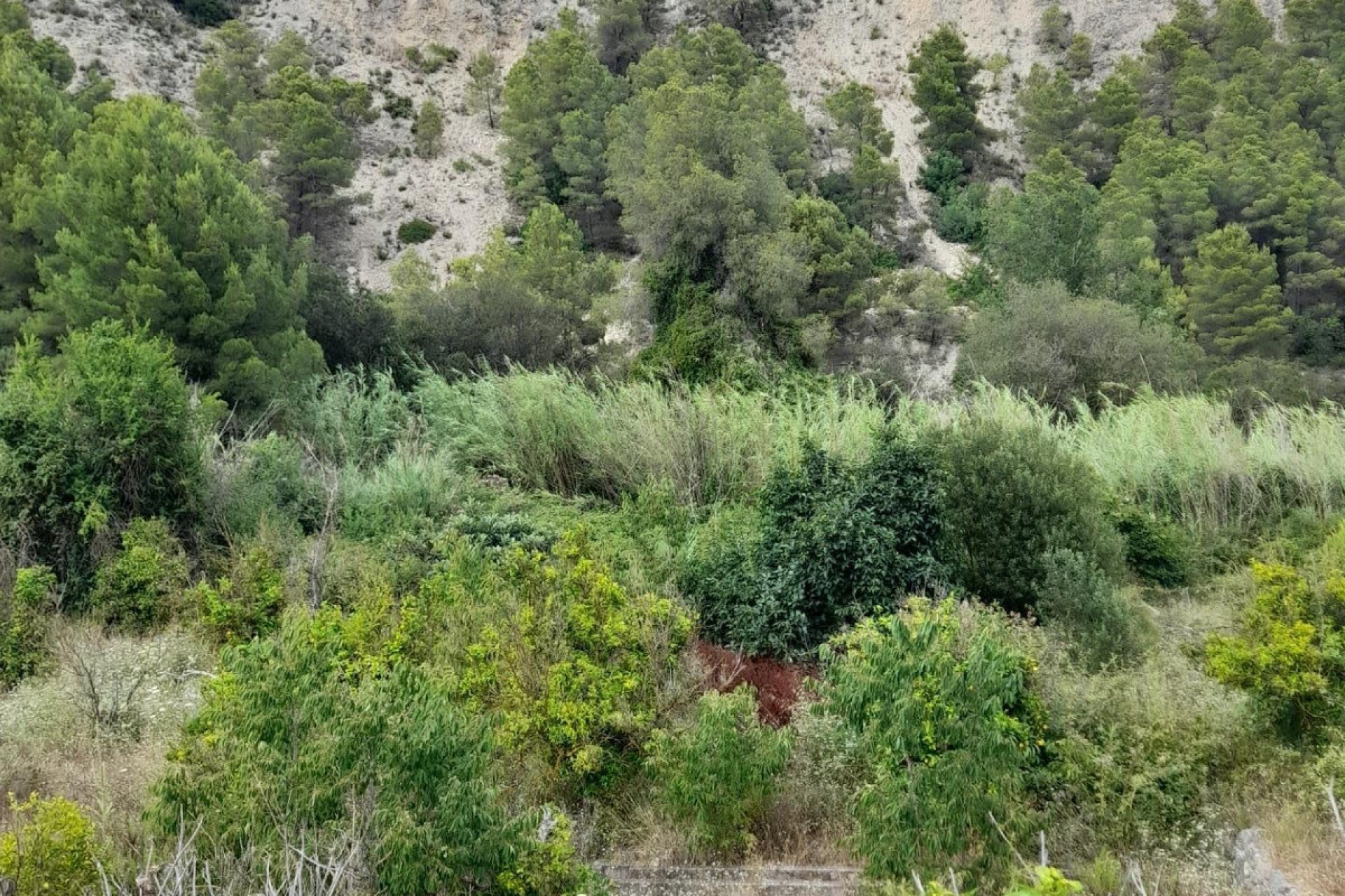 Használt ingatlanok - land -
Guadalest - Guadalest Centro