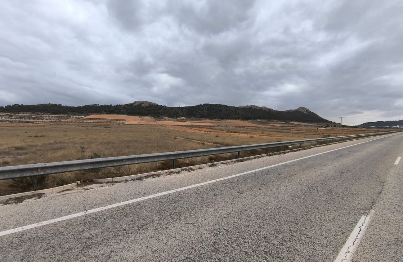 Használt ingatlanok - land -
Jalón - La Solana