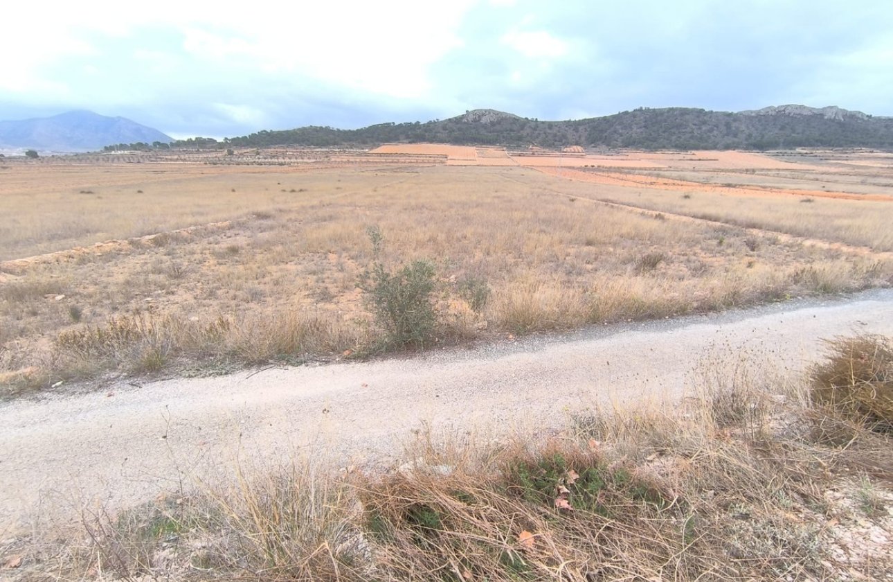 Használt ingatlanok - land -
Jalón - La Solana