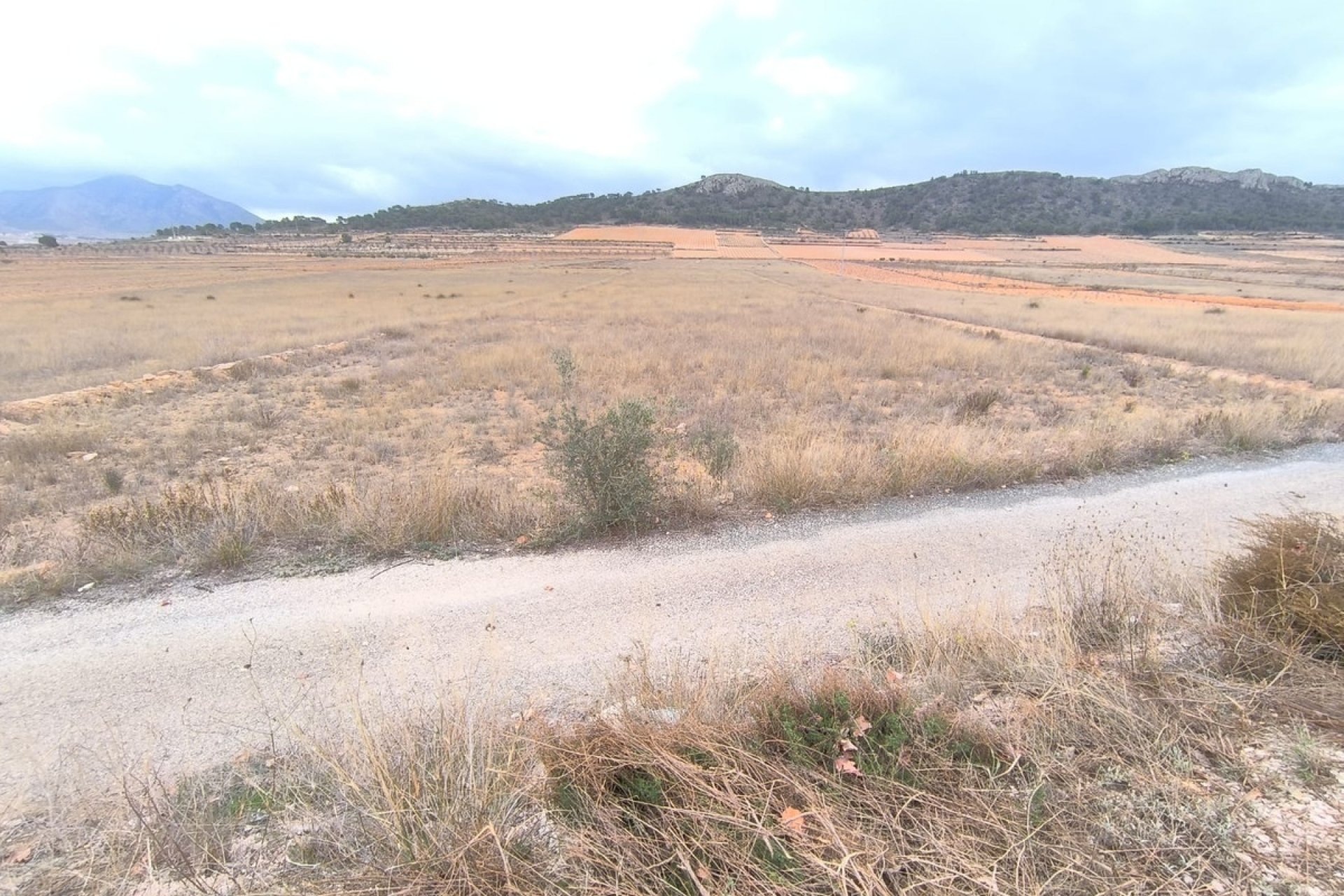 Használt ingatlanok - land -
Jalón - La Solana