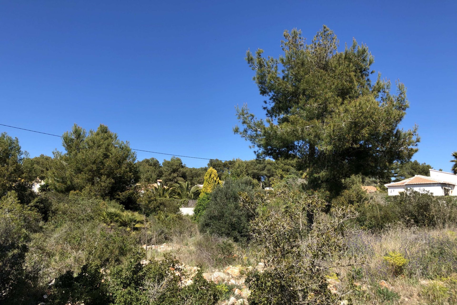 Használt ingatlanok - land -
Jávea - Xàbia - Jávea - Xàbia Centro