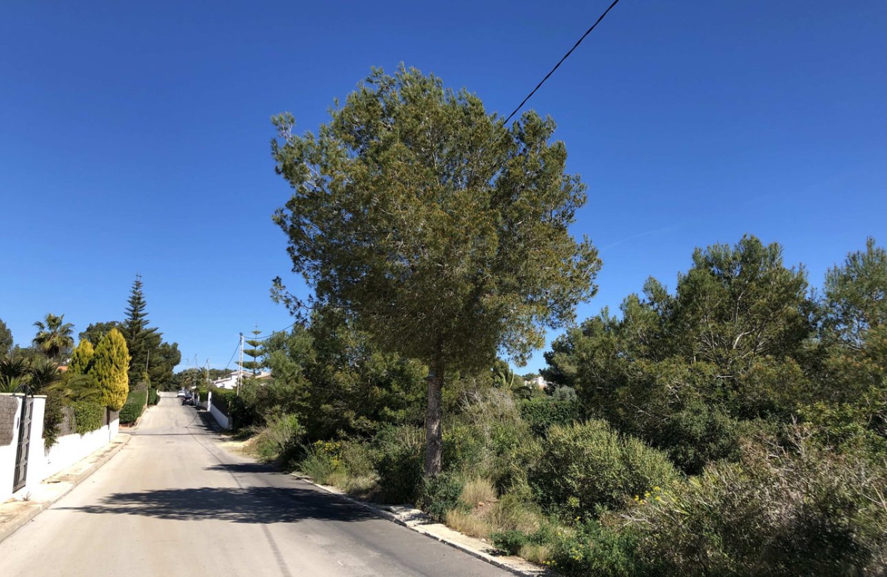 Használt ingatlanok - land -
Jávea - Xàbia - Jávea - Xàbia Centro