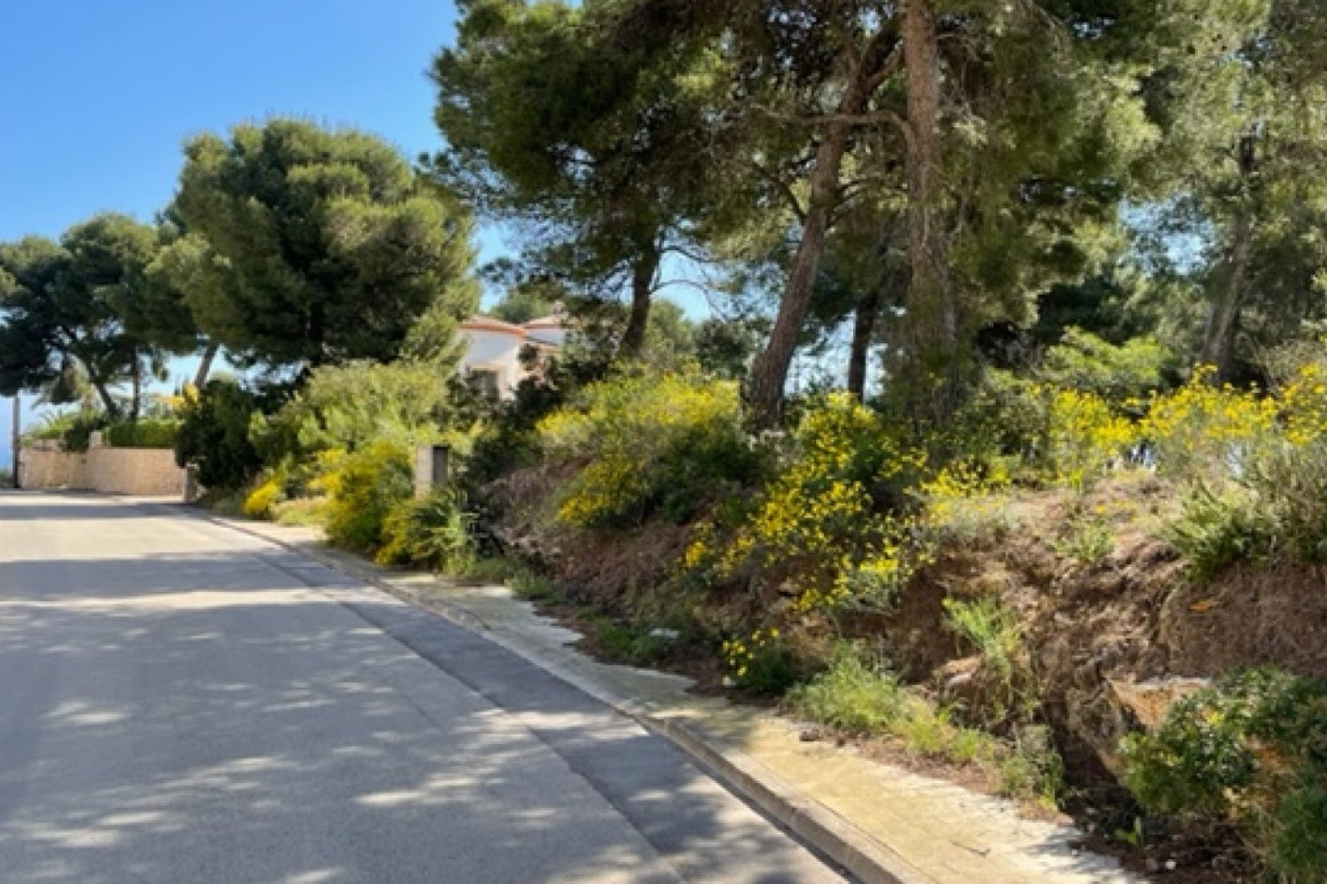 Használt ingatlanok - land -
Jávea - Xàbia - Jávea - Xàbia Centro