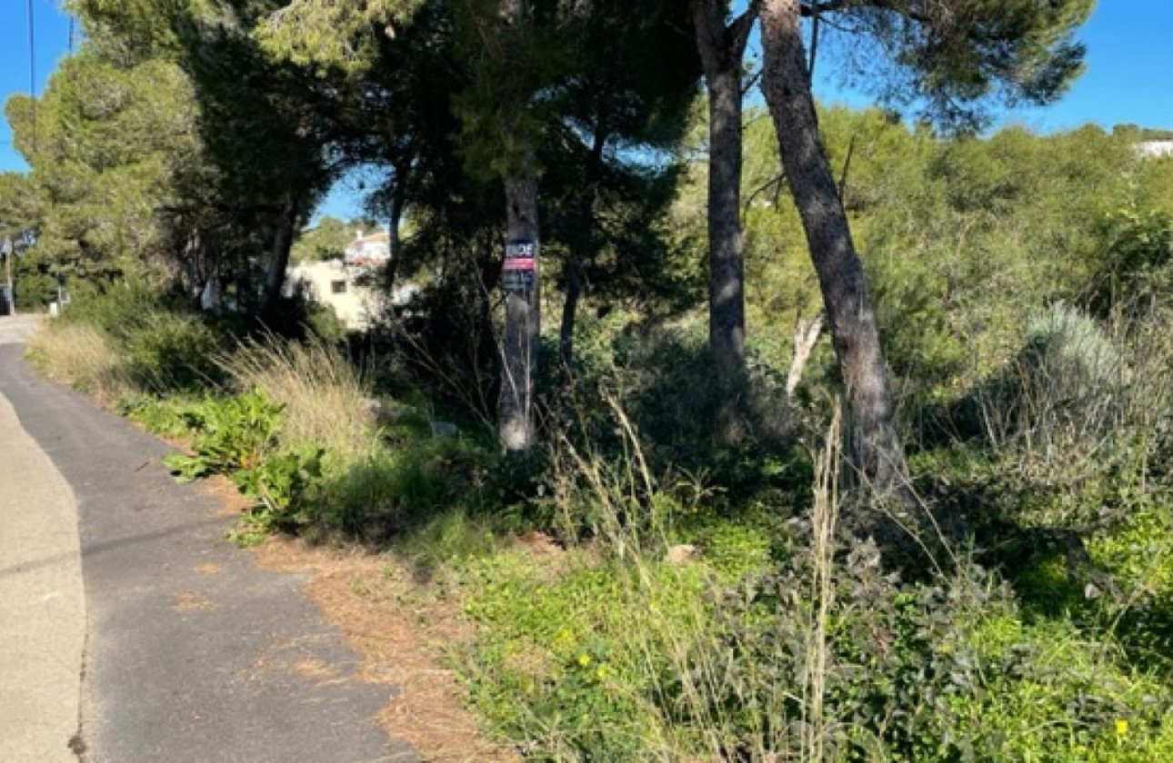 Használt ingatlanok - land -
Jávea - Xàbia - Jávea - Xàbia Centro