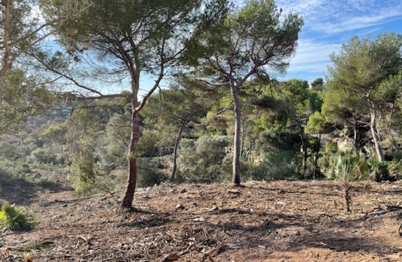 Használt ingatlanok - land -
Jávea - Xàbia - Jávea - Xàbia Centro