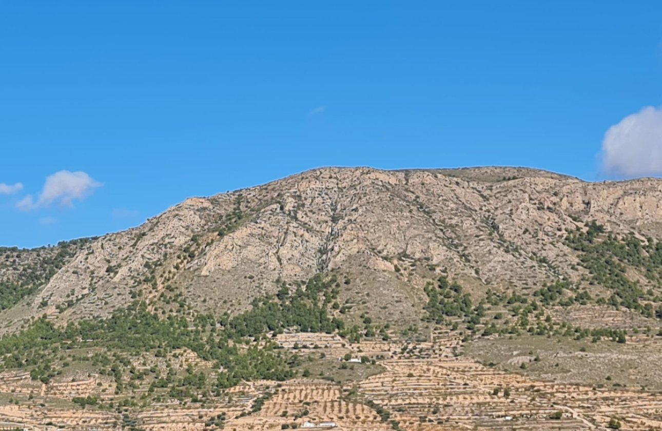 Használt ingatlanok - land -
La Romana - La Romana Centro