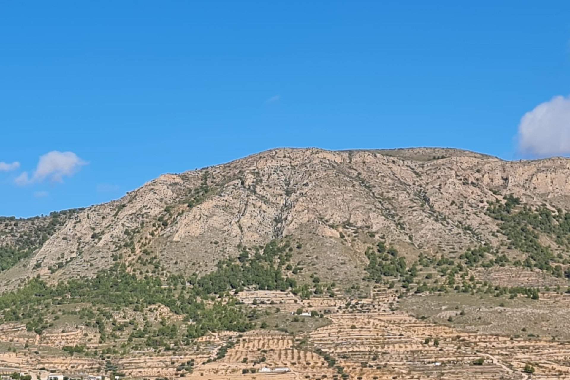 Használt ingatlanok - land -
La Romana - La Romana Centro