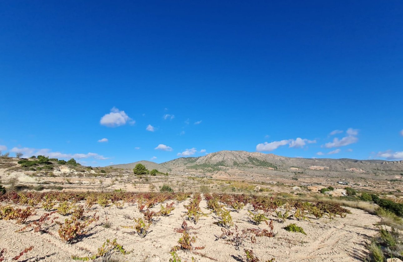 Használt ingatlanok - land -
La Romana - La Romana Centro