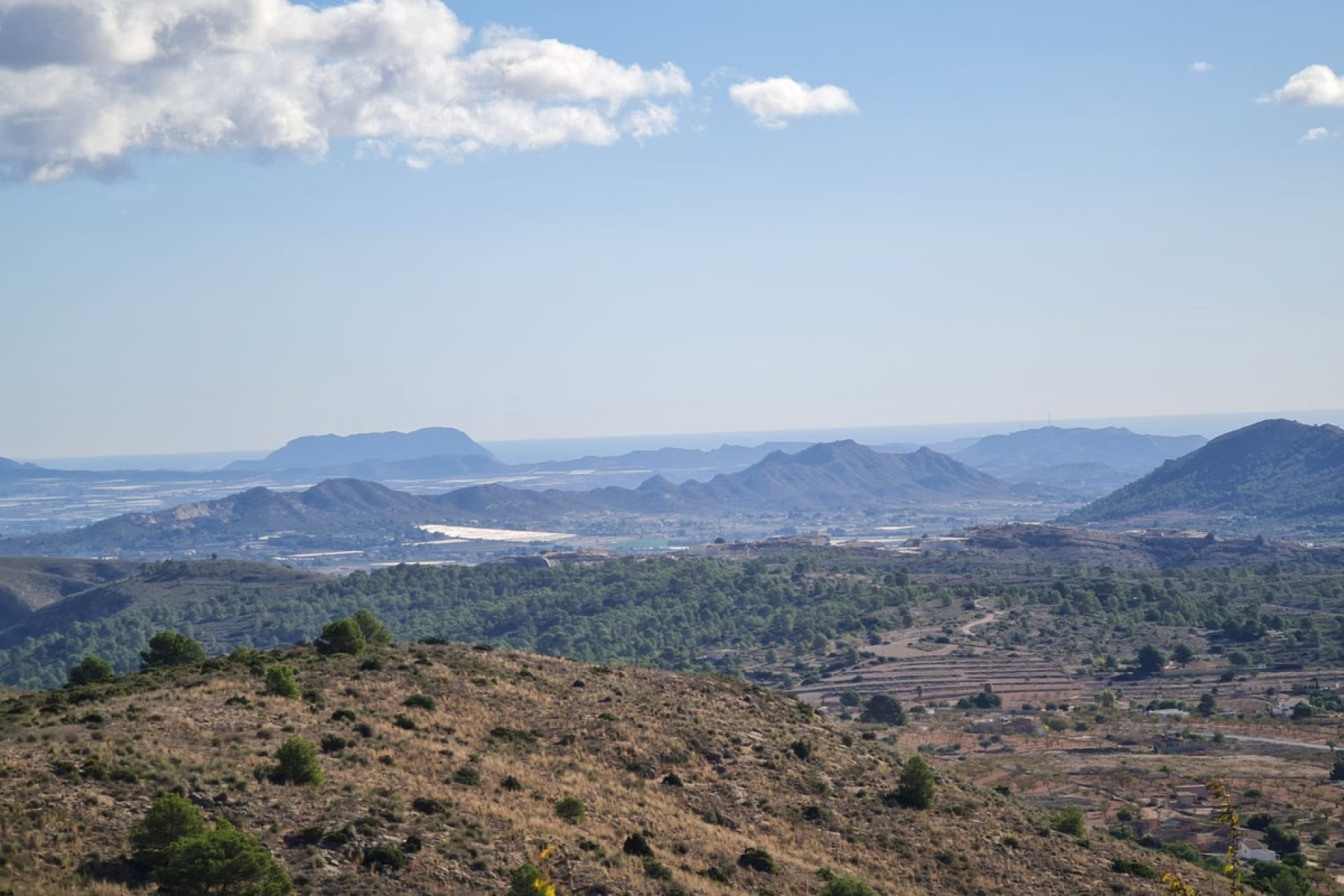 Használt ingatlanok - land -
La Romana - La Romana Centro