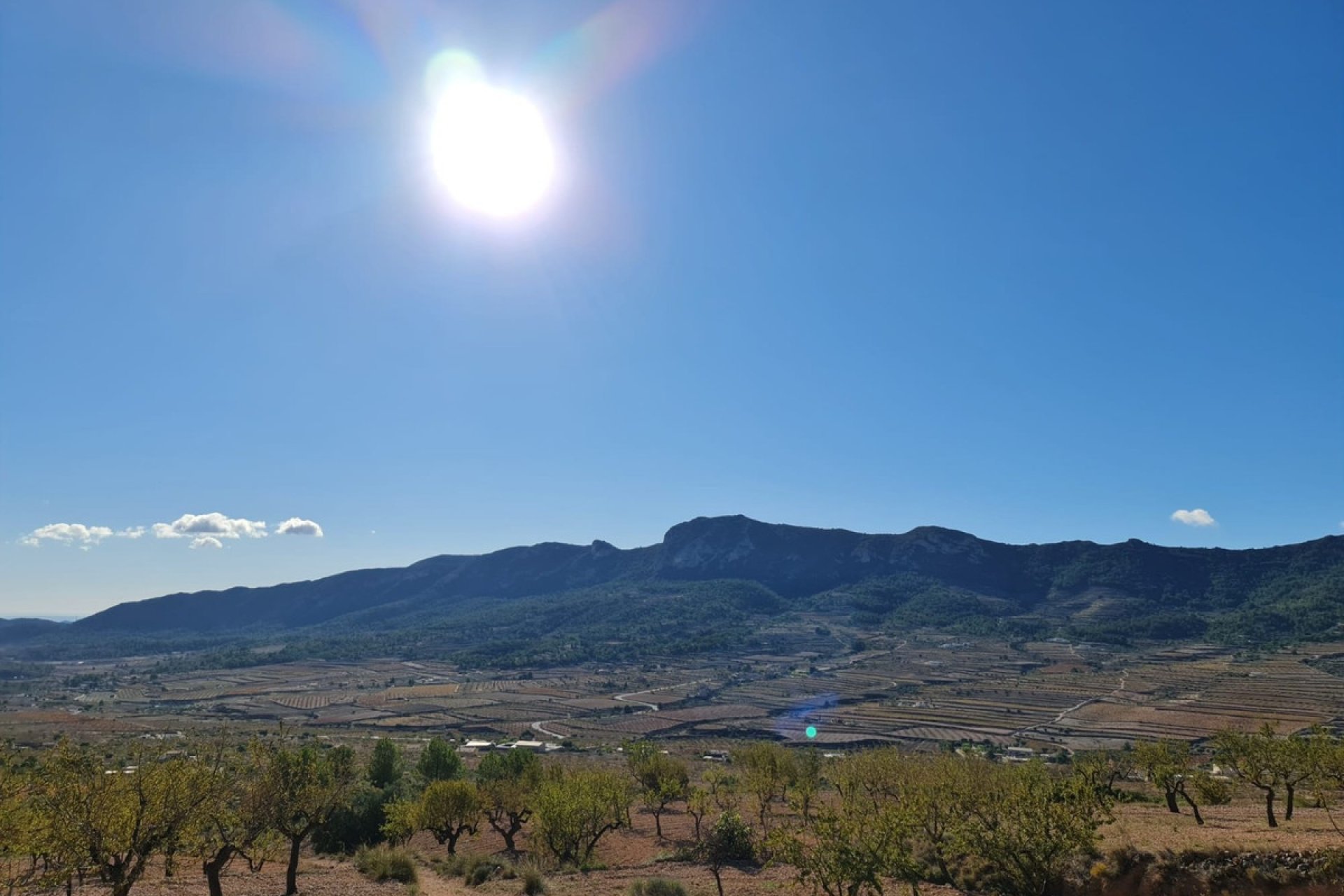 Használt ingatlanok - land -
La Romana - La Romana Centro