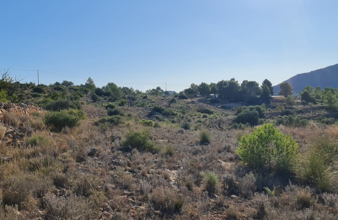 Használt ingatlanok - land -
La Romana - La Romana Centro