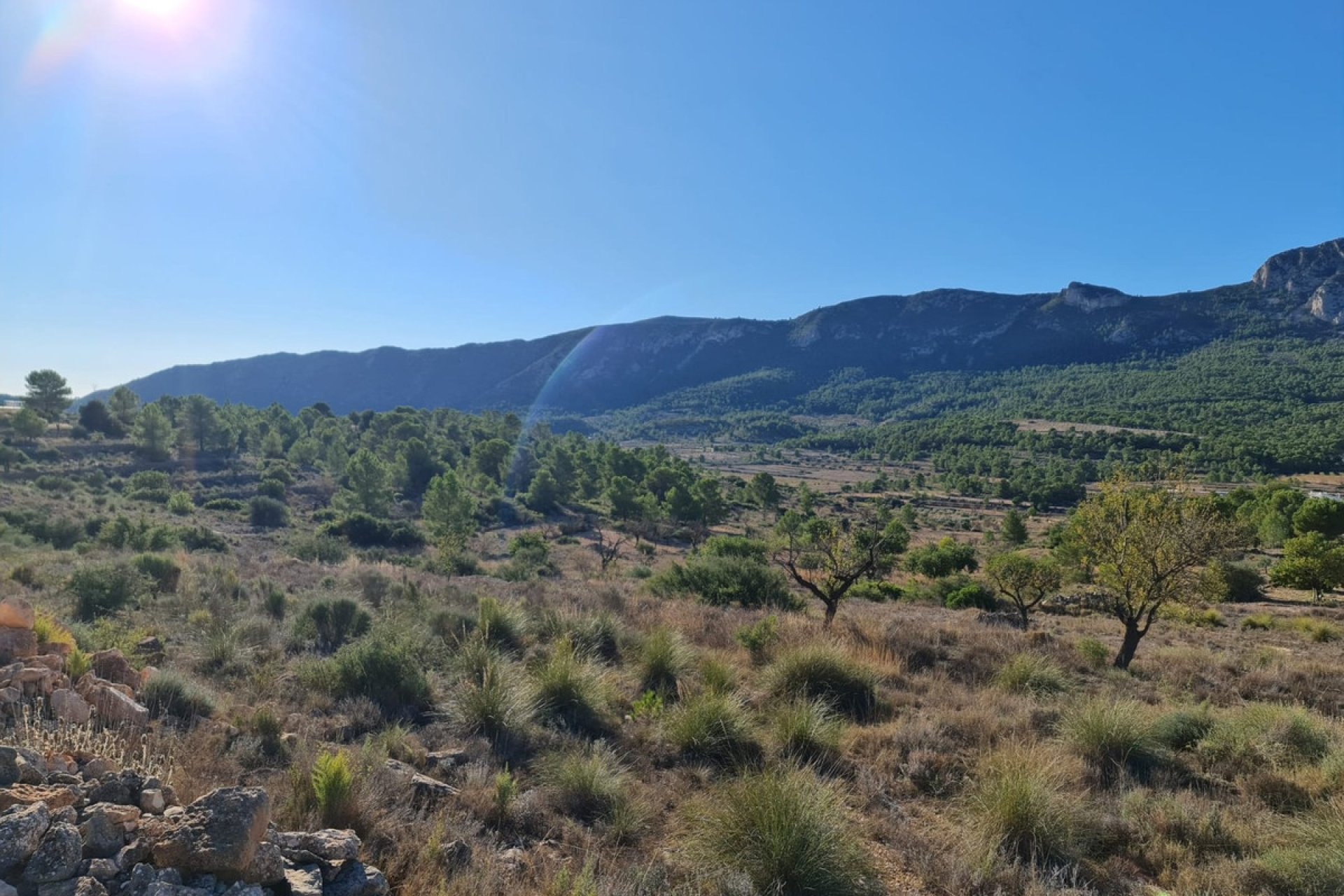 Használt ingatlanok - land -
La Romana - La Romana Centro