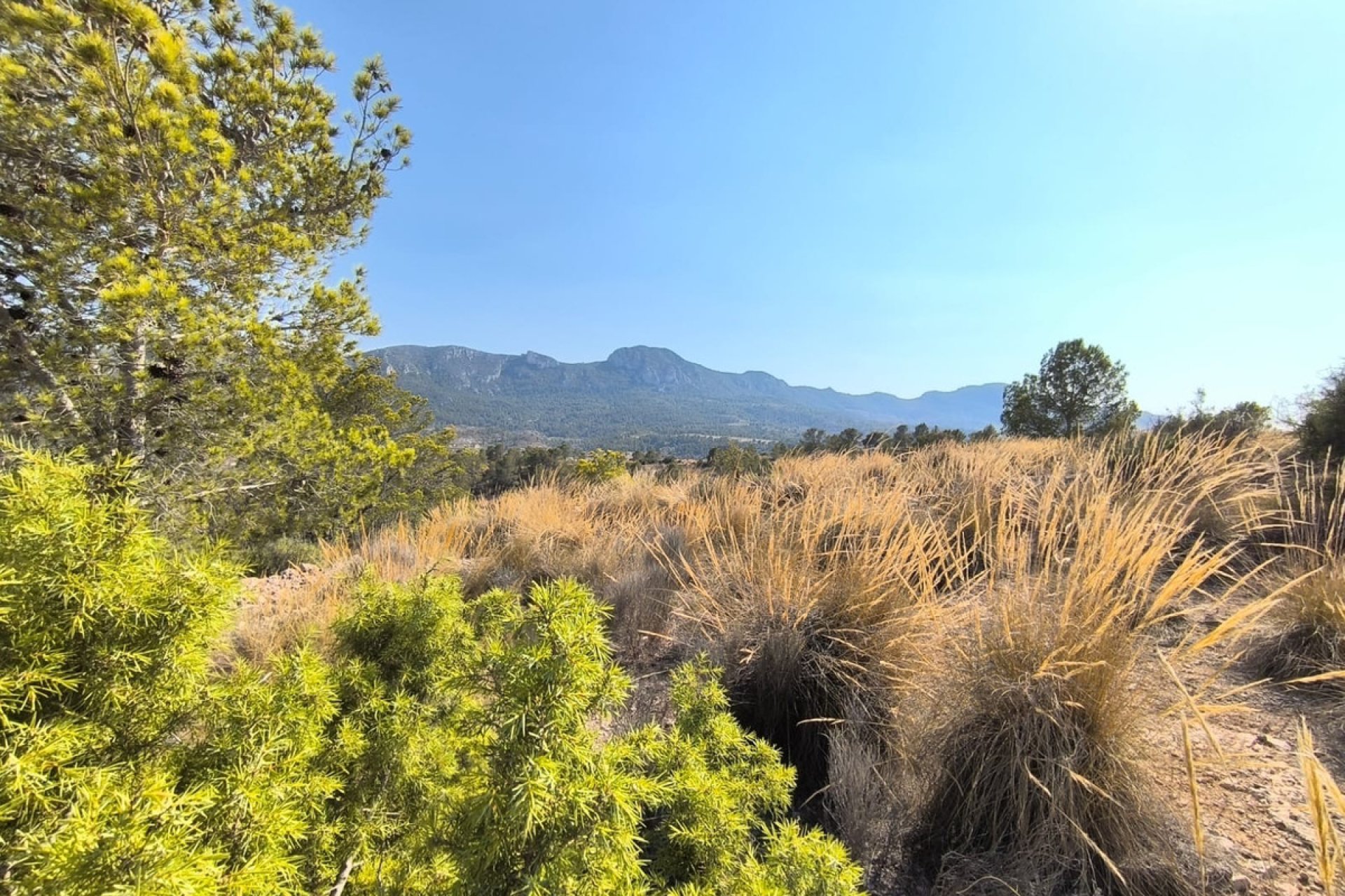 Használt ingatlanok - land -
La Romana - La Romana Centro