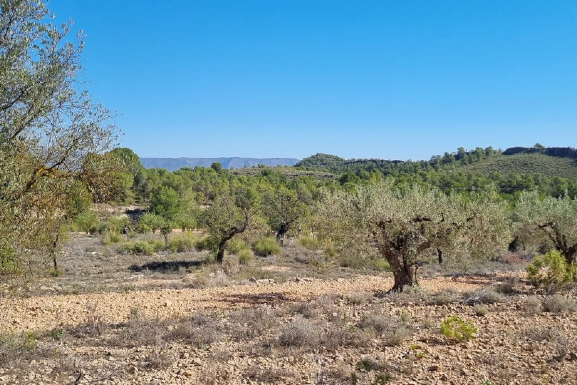 Használt ingatlanok - land -
Monóvar - Monòver - Casas del Señor