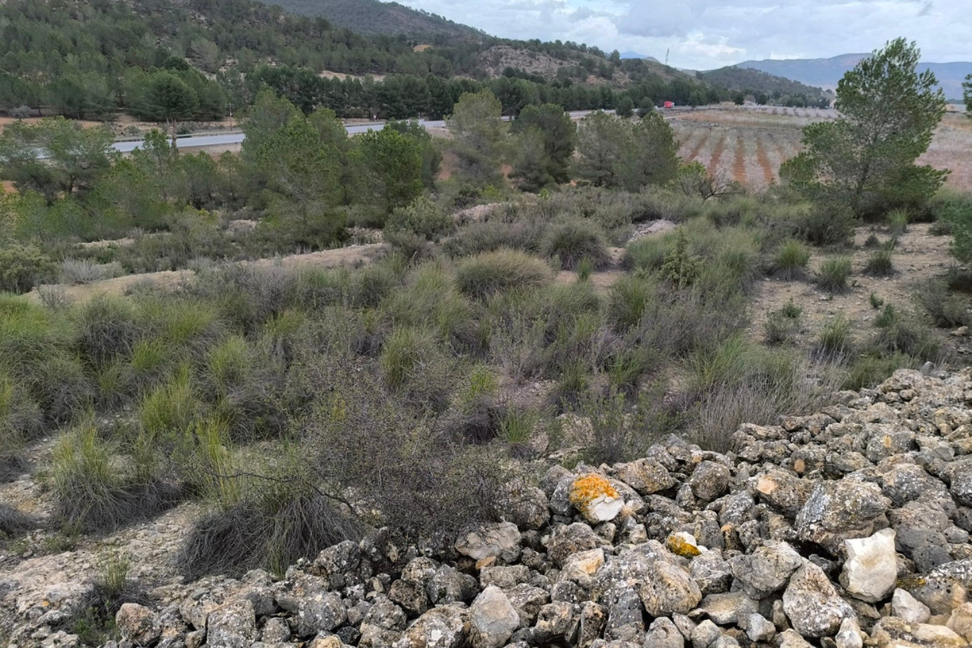 Használt ingatlanok - land -
Monóvar - Monòver - Chinorlet