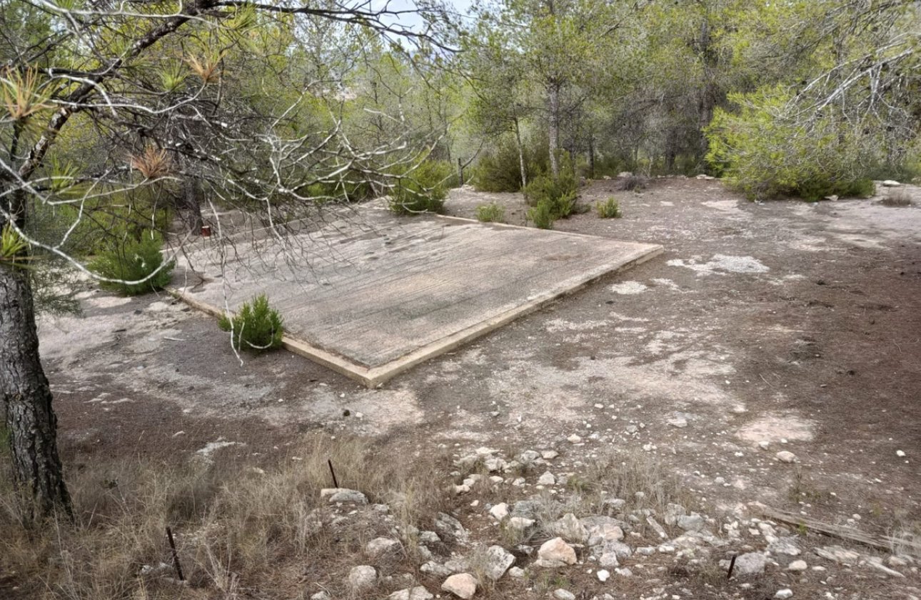 Használt ingatlanok - land -
Monóvar - Monòver - Monóvar - Monòver Centro