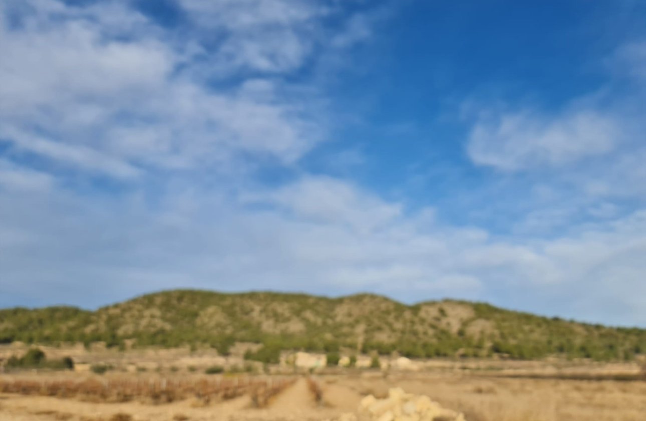 Használt ingatlanok - land -
Monóvar - Monòver - Monóvar - Monòver Centro