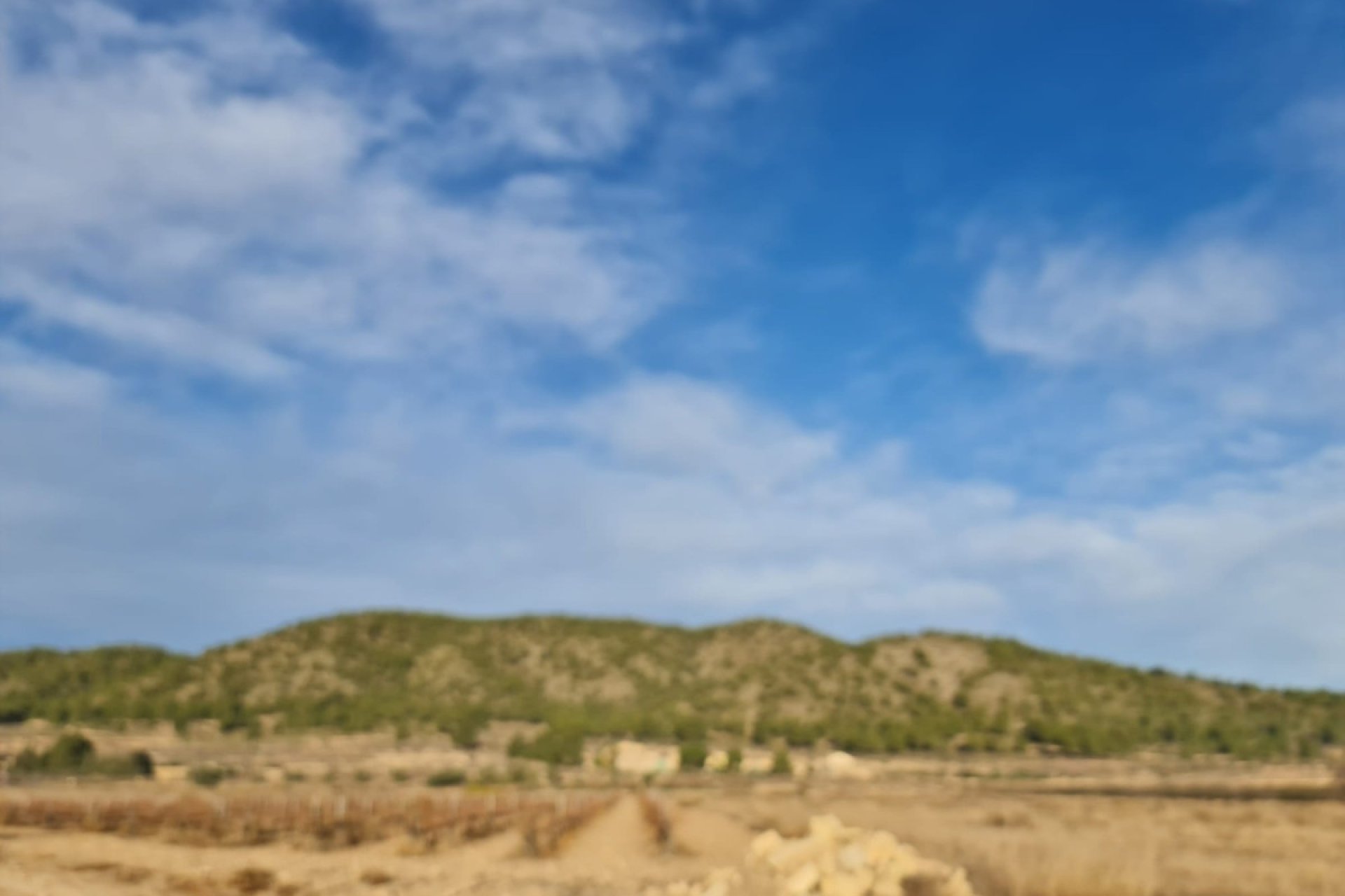 Használt ingatlanok - land -
Monóvar - Monòver - Monóvar - Monòver Centro