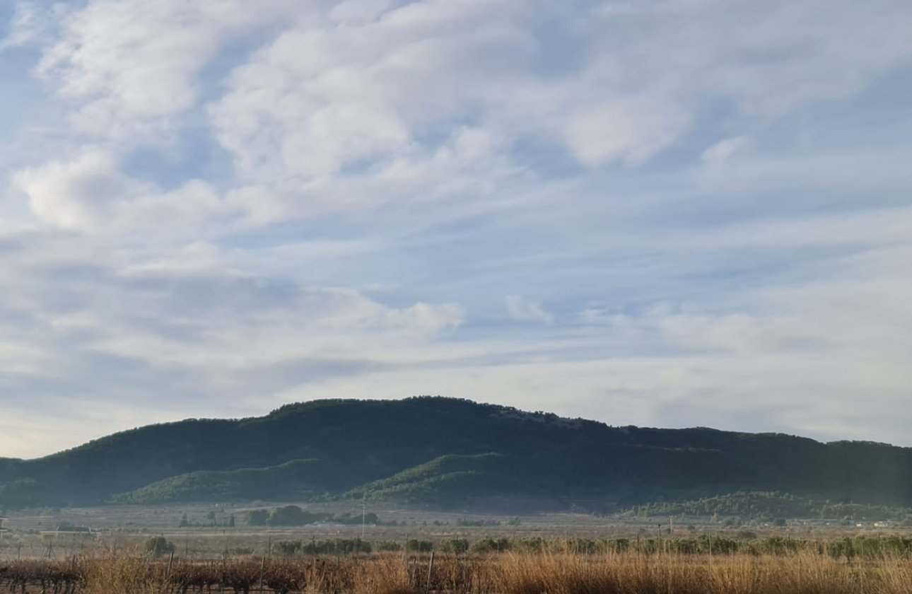 Használt ingatlanok - land -
Monóvar - Monòver - Monóvar - Monòver Centro