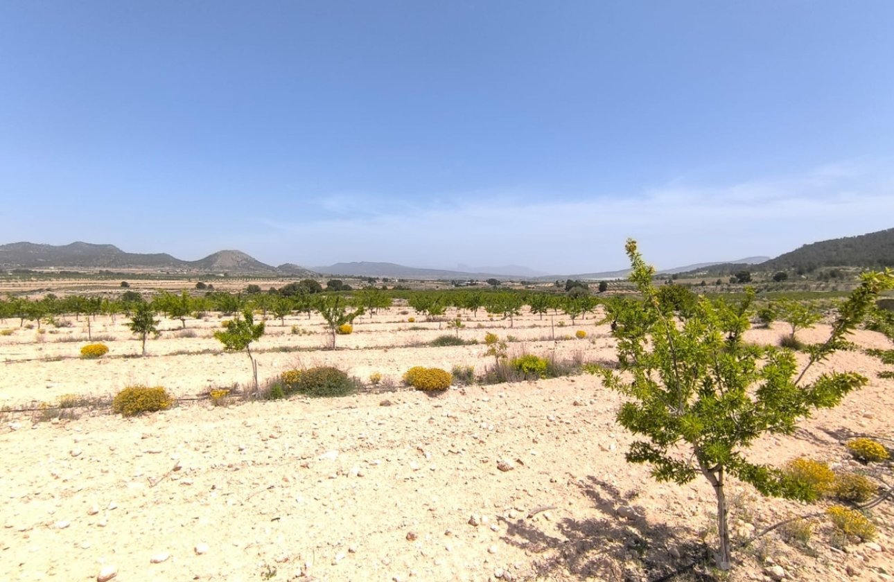 Használt ingatlanok - land -
Monóvar - Monòver - Monóvar - Monòver Centro