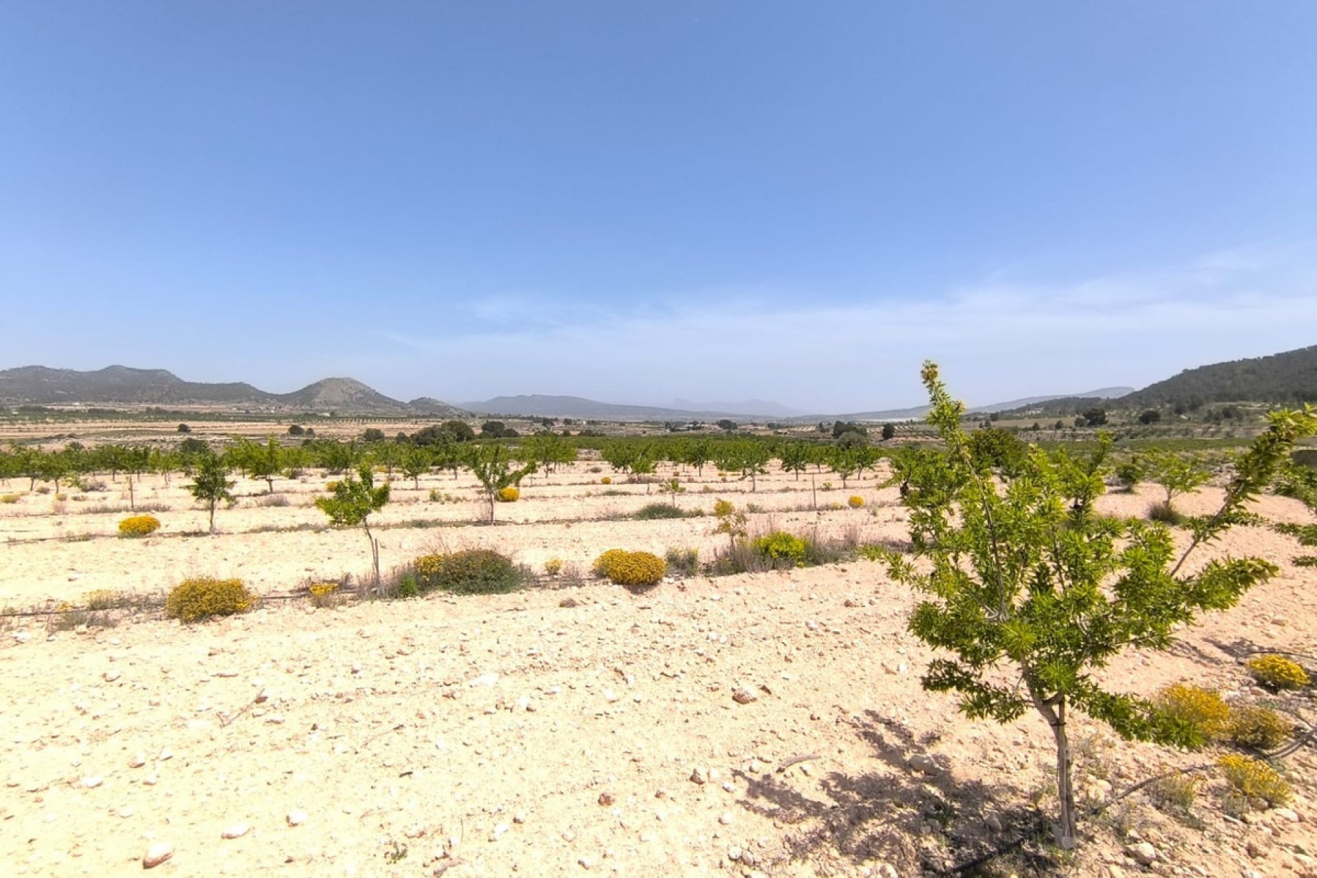 Használt ingatlanok - land -
Monóvar - Monòver - Monóvar - Monòver Centro