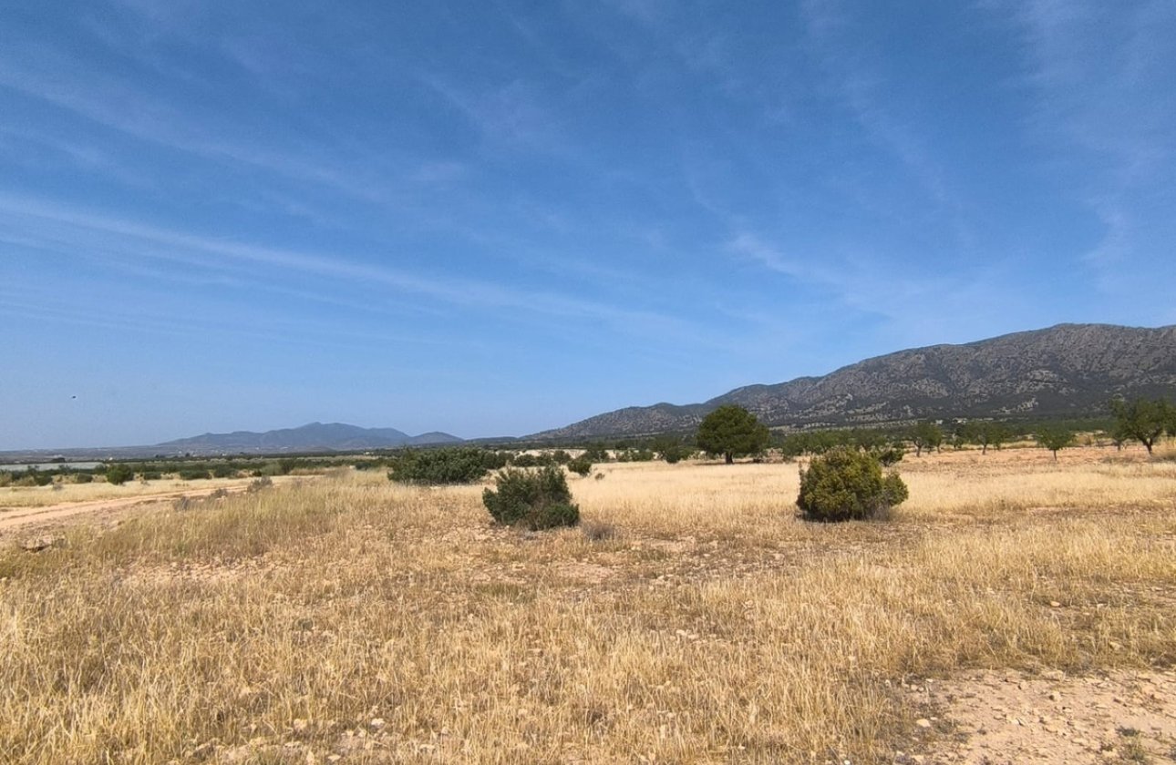 Használt ingatlanok - land -
Monóvar - Monòver - Monóvar - Monòver Centro