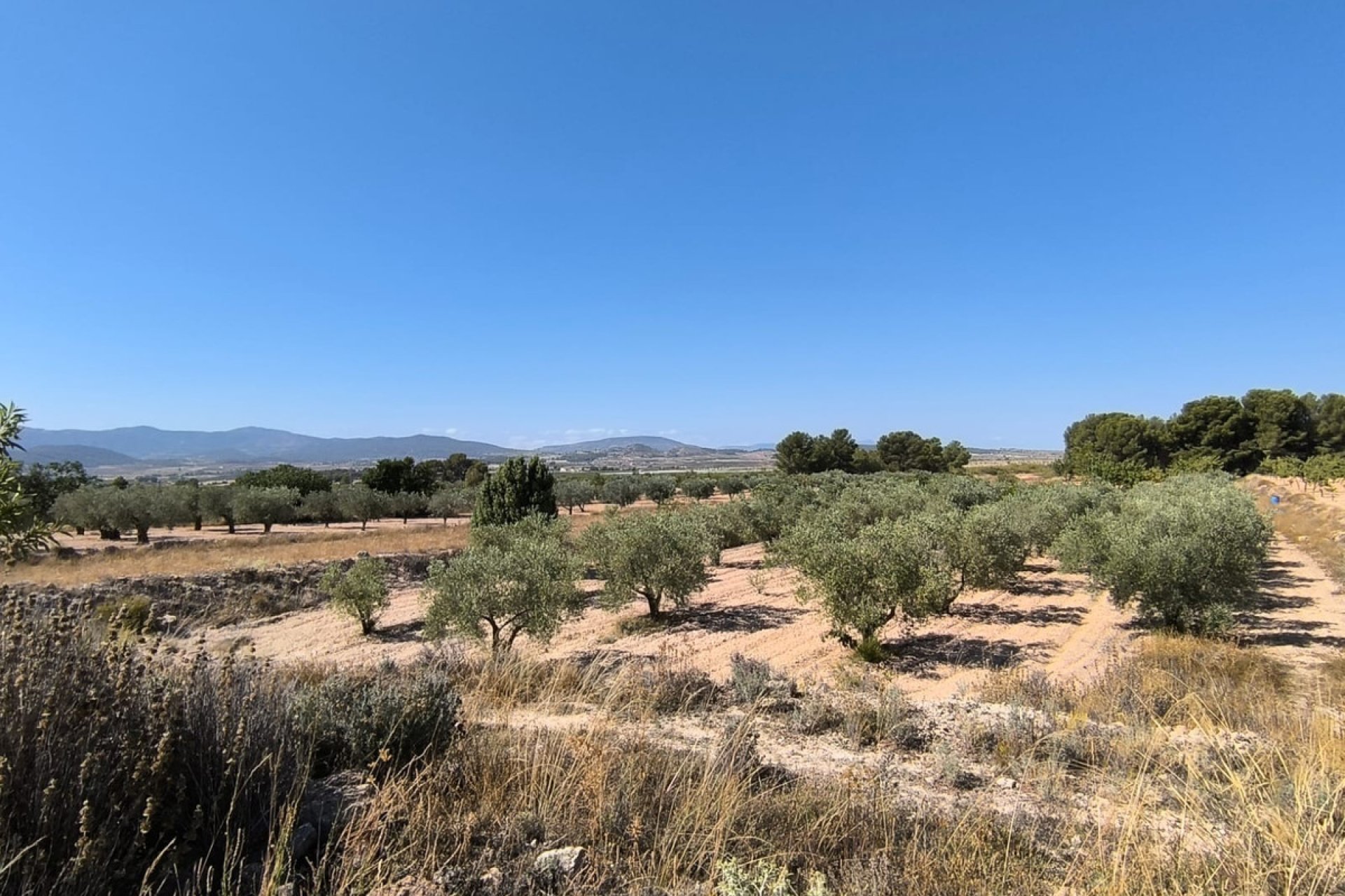 Használt ingatlanok - land -
Monóvar - Monòver - Monóvar - Monòver Centro