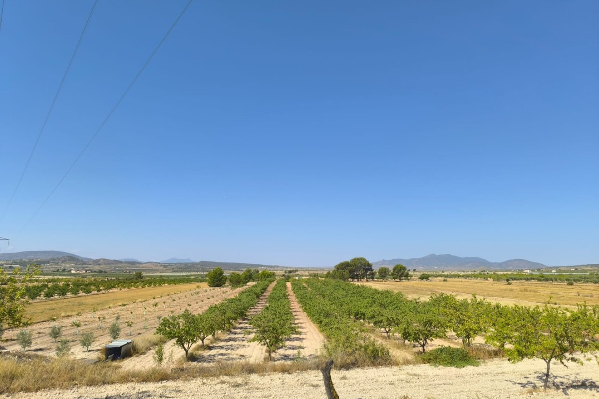 Használt ingatlanok - land -
Monóvar - Monòver - Monóvar - Monòver Centro