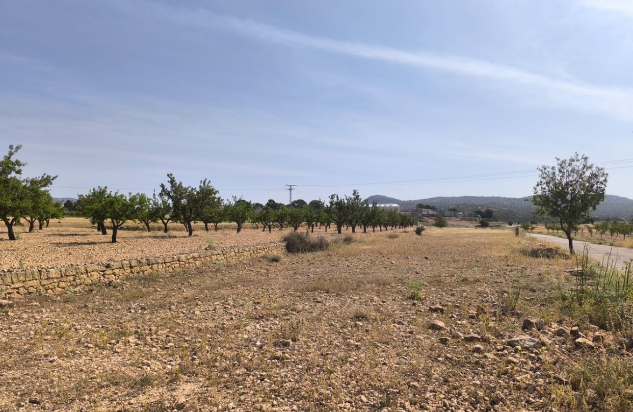 Használt ingatlanok - land -
Monóvar - Monòver - Monóvar - Monòver Centro