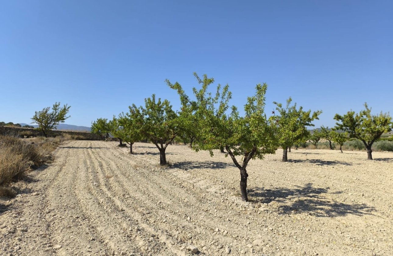 Használt ingatlanok - land -
Monóvar - Monòver - Monóvar - Monòver Centro