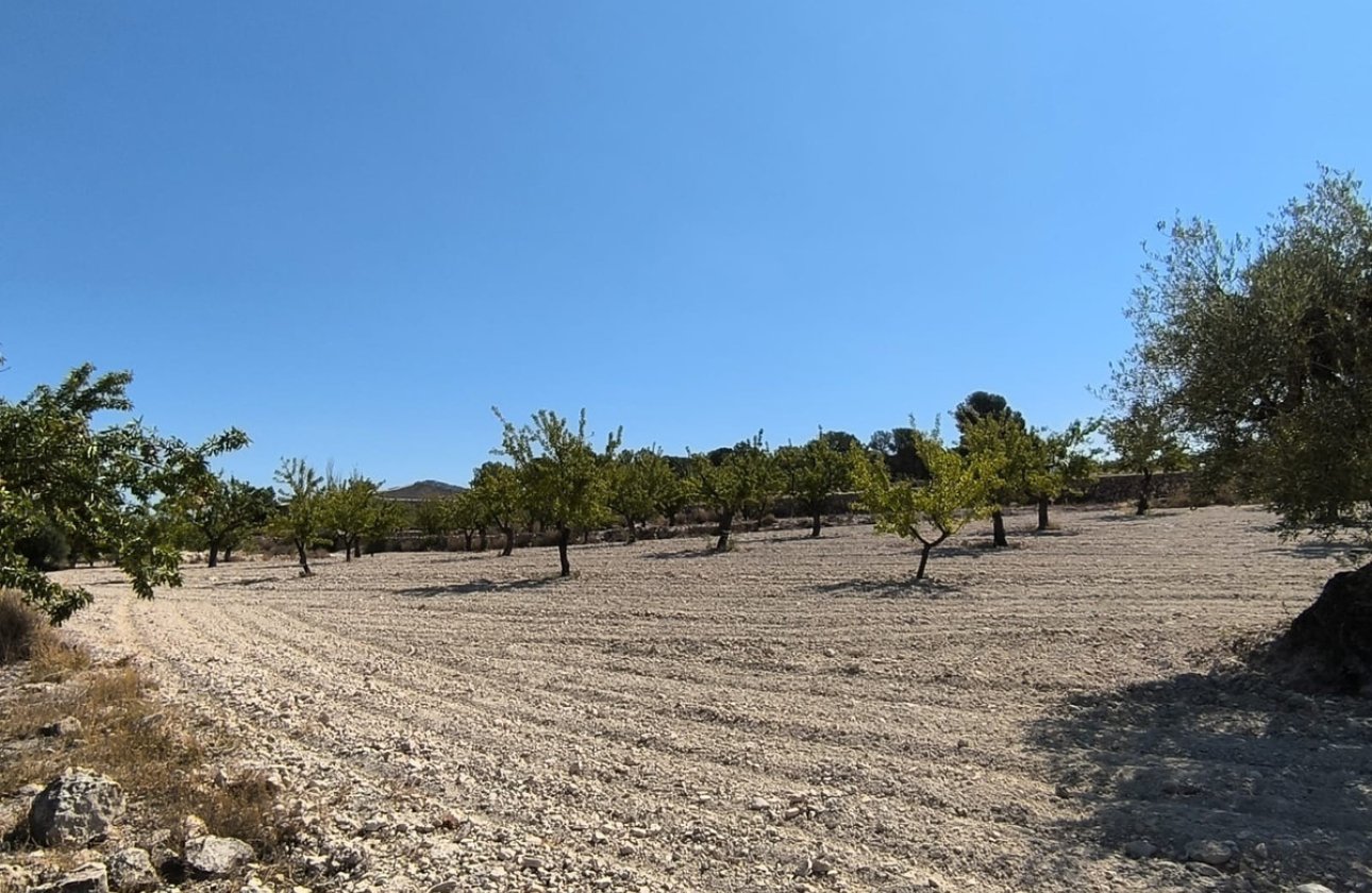 Használt ingatlanok - land -
Monóvar - Monòver - Monóvar - Monòver Centro