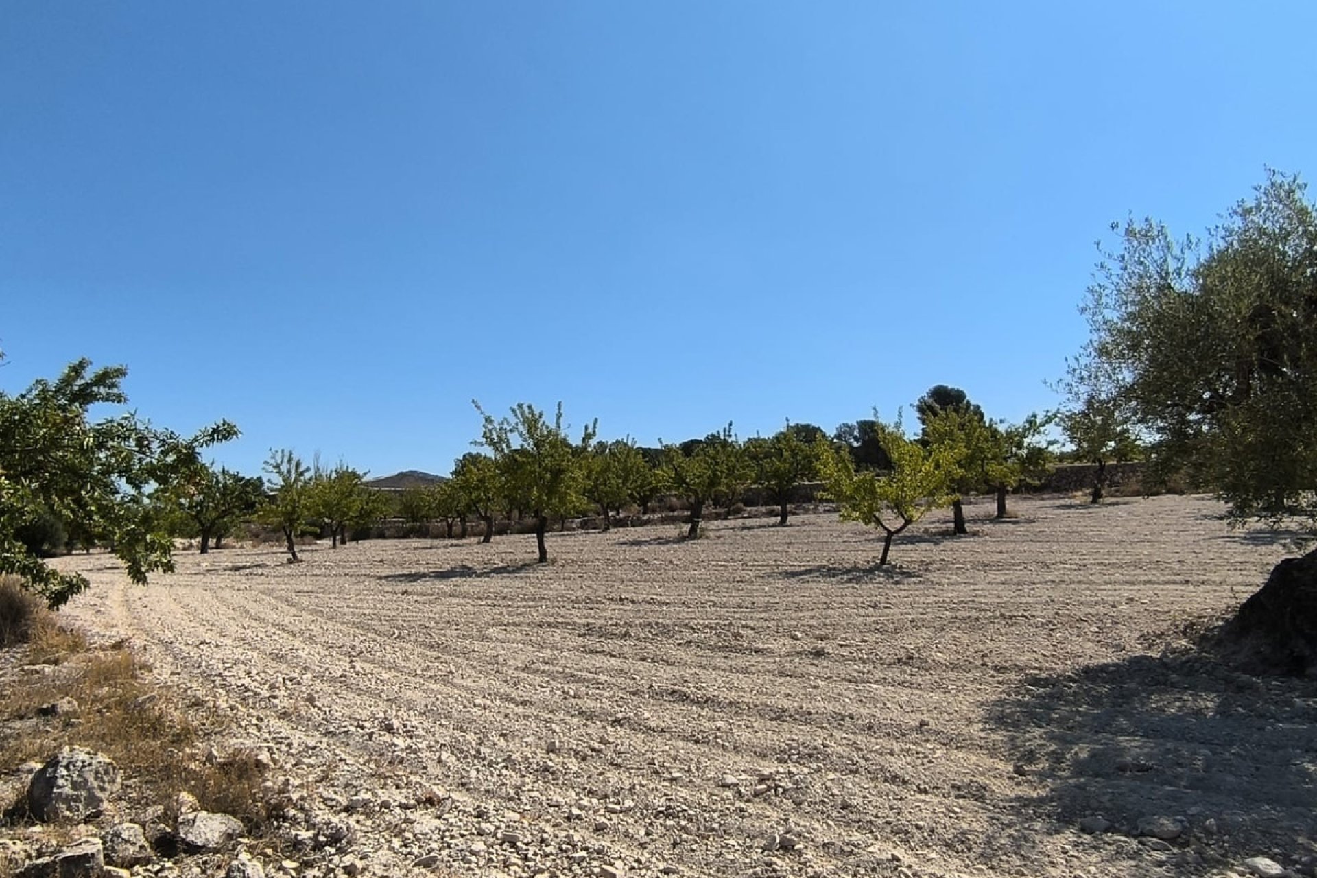 Használt ingatlanok - land -
Monóvar - Monòver - Monóvar - Monòver Centro