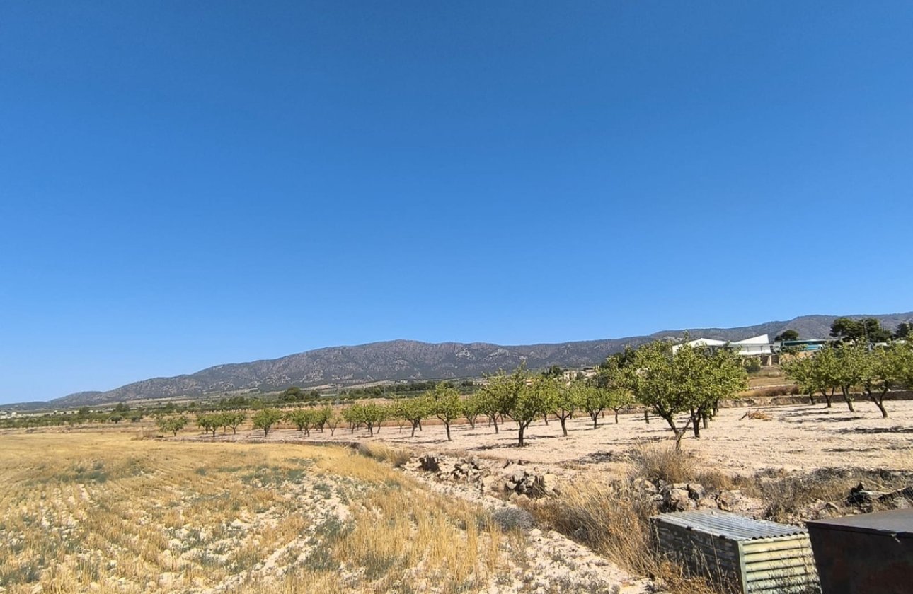 Használt ingatlanok - land -
Monóvar - Monòver - Monóvar - Monòver Centro