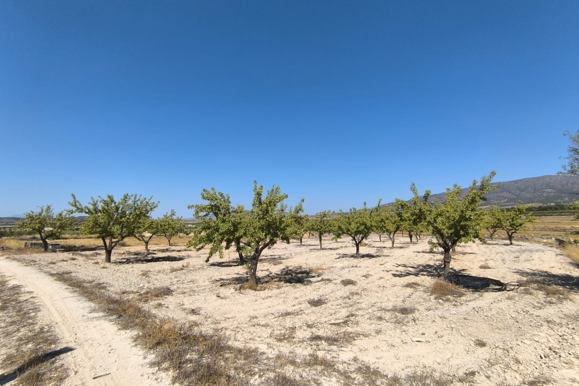 Használt ingatlanok - land -
Monóvar - Monòver - Monóvar - Monòver Centro