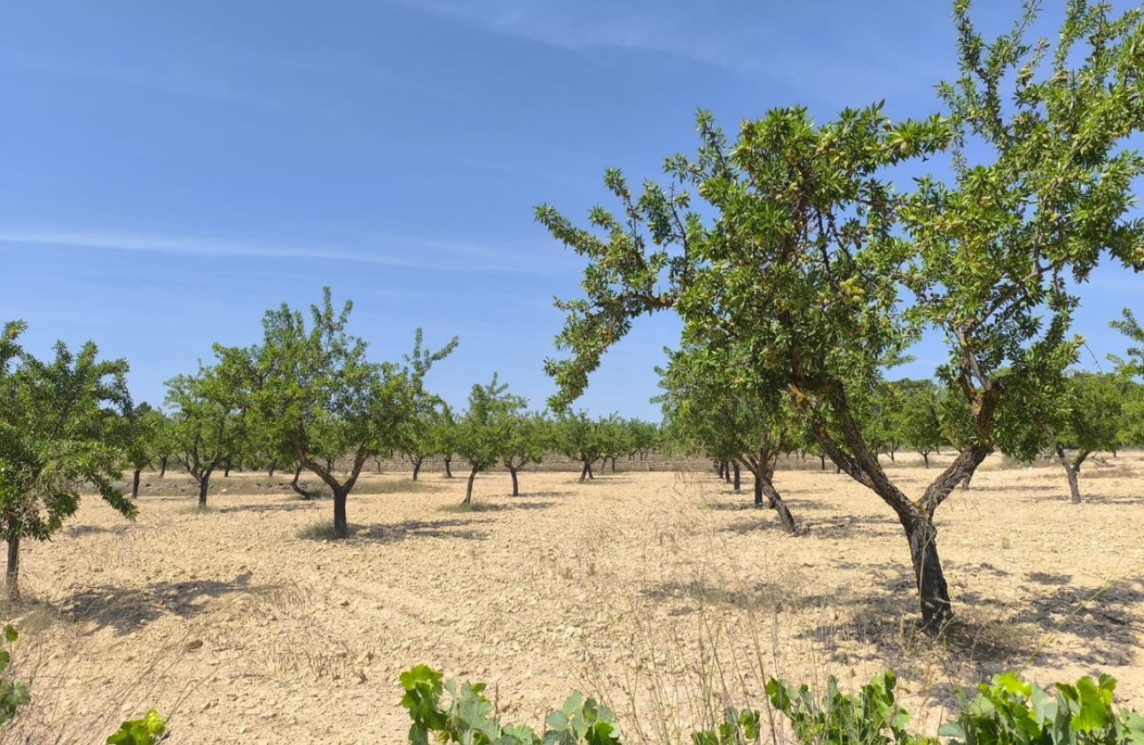 Használt ingatlanok - land -
Monóvar - Monòver - Monóvar - Monòver Centro