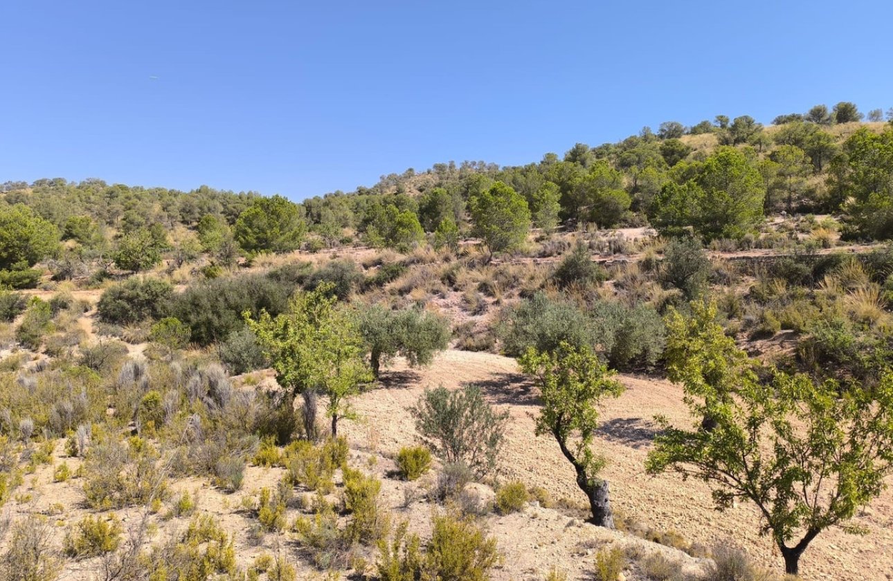 Használt ingatlanok - land -
Monóvar - Monòver - Monóvar - Monòver Centro