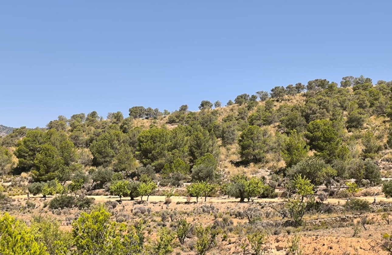 Használt ingatlanok - land -
Monóvar - Monòver - Monóvar - Monòver Centro