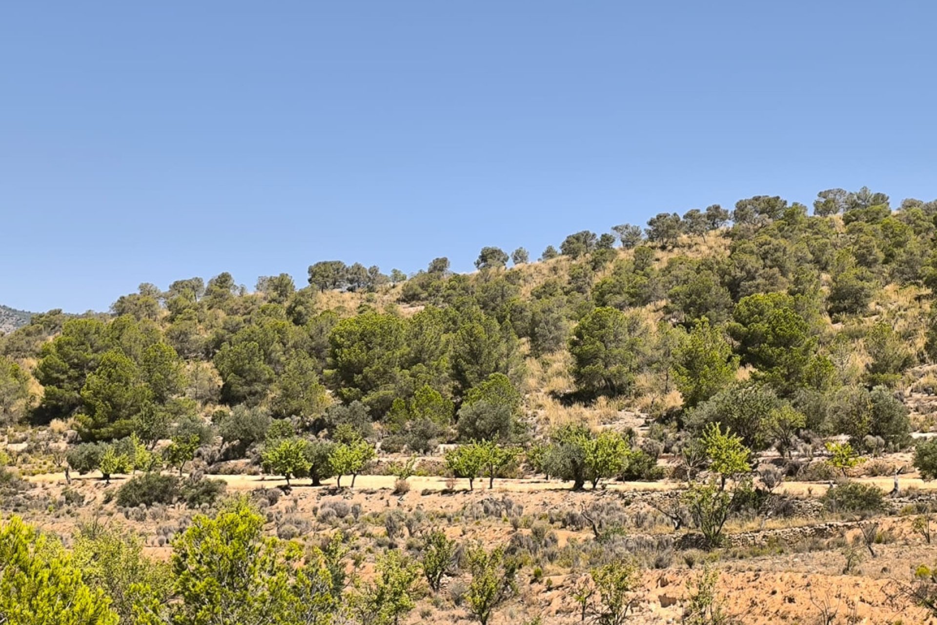 Használt ingatlanok - land -
Monóvar - Monòver - Monóvar - Monòver Centro