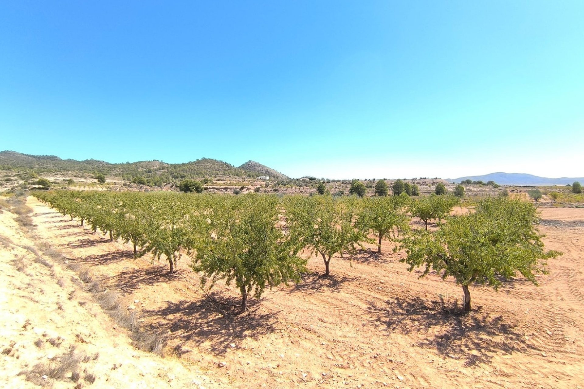 Használt ingatlanok - land -
Monóvar - Monòver - Monóvar - Monòver Centro